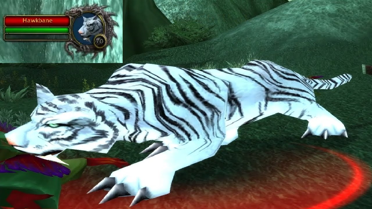 Где найти редкое существо «Ястребиная погибель» в лесу Тероккар в MoP Classic WoW