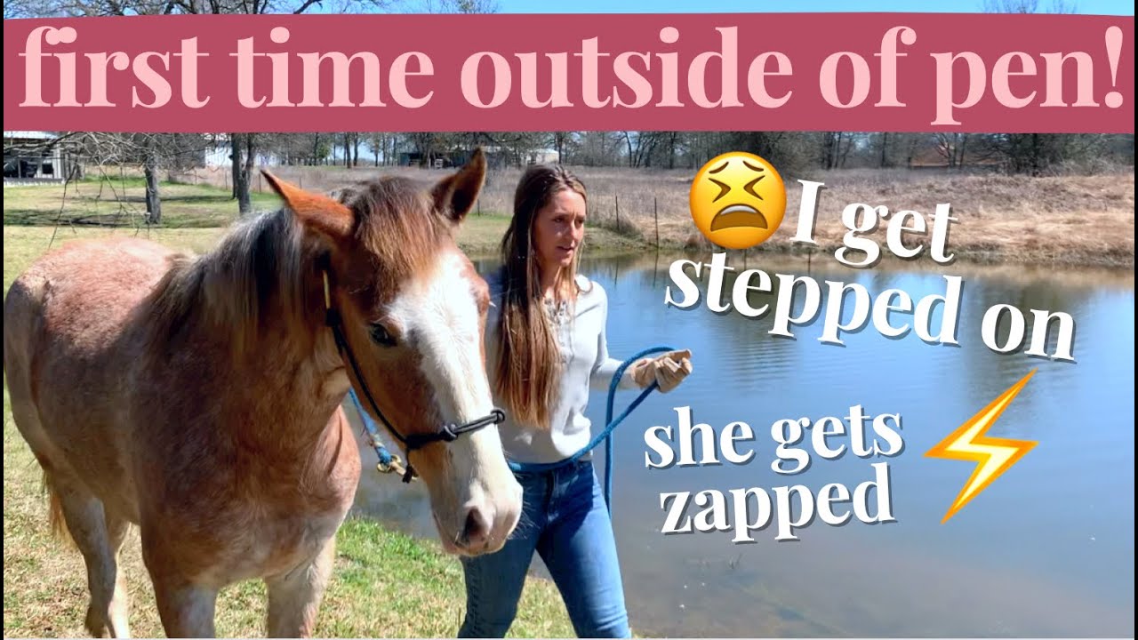 Zinfandel goes out! 🦄 + then steps on me..