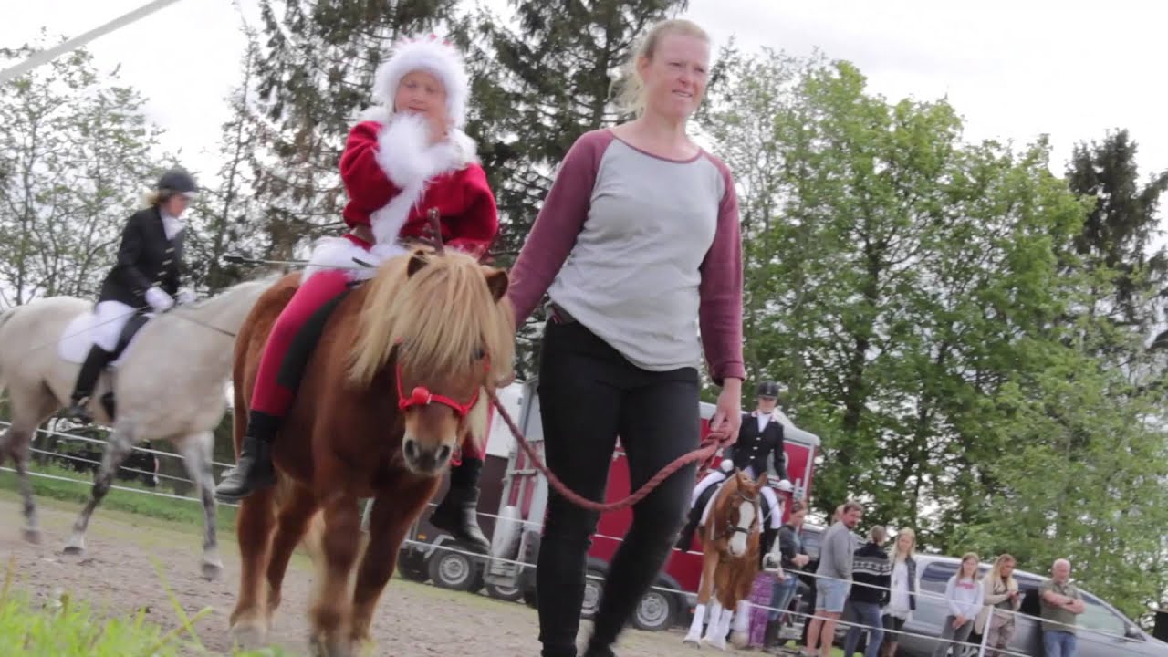 DHE TRÆF SJÆLLAND 2015