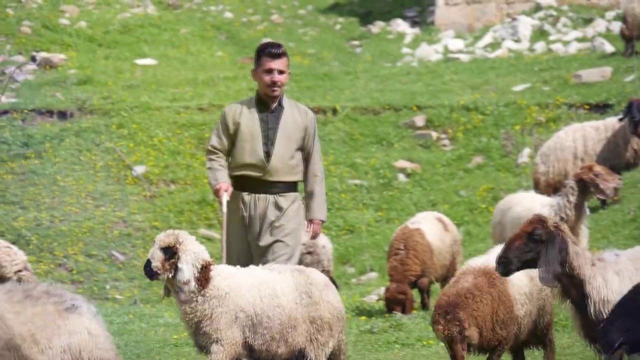اغاني تراثيه زاخو Assyrian  فادي الانشي song zakho