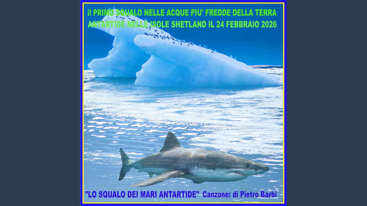 LO SQUALO DEI MARI ANTARTIDE