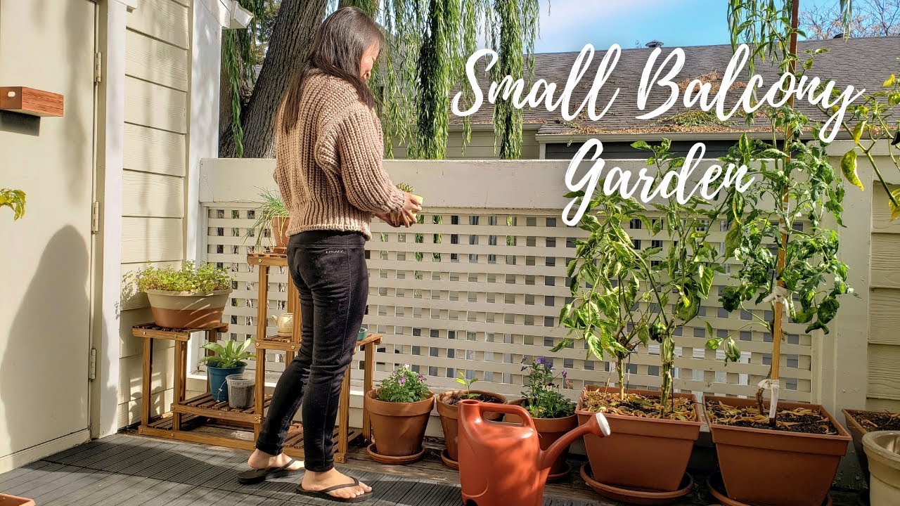 My Balcony Vegetable Garden - Update a SMALL space