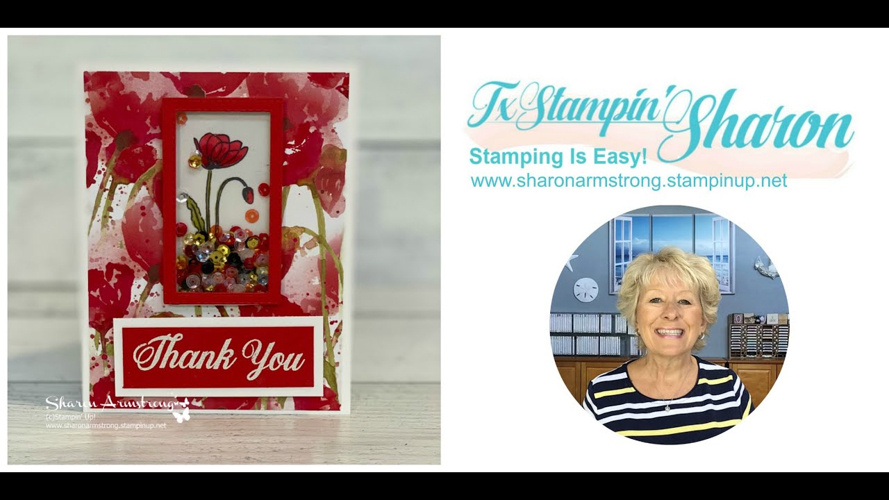 A Shaker Card Tutorial Too Beautiful to Resist