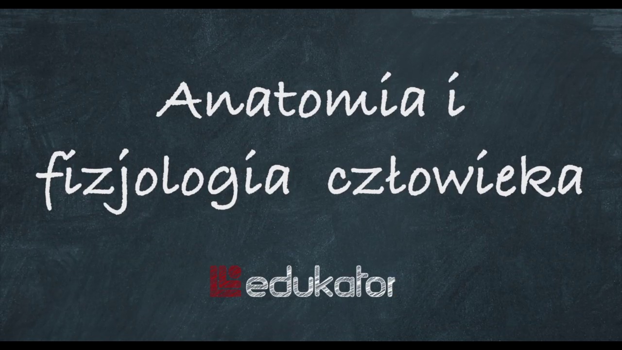 22. Anatomia i fizjologia człowieka  / tutorial edukator.pl