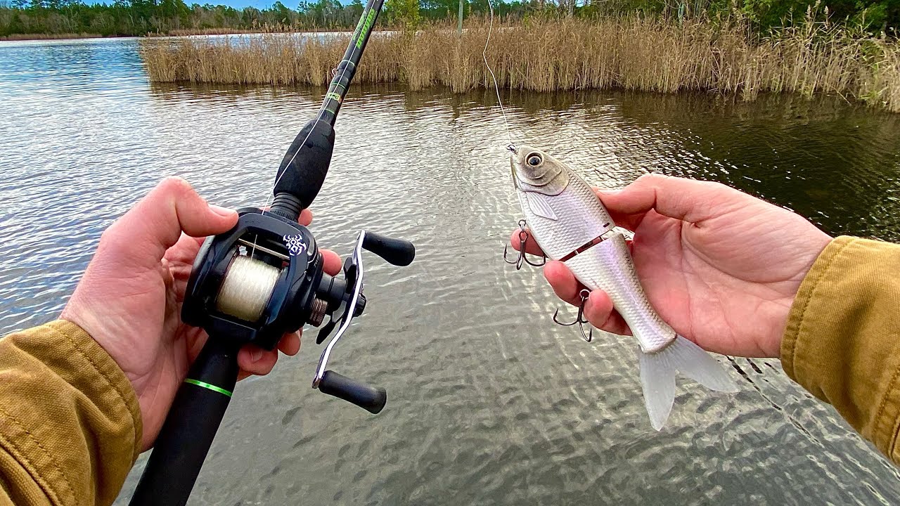 Glidebait gets CRUSHED First 5 Minutes of Fishing