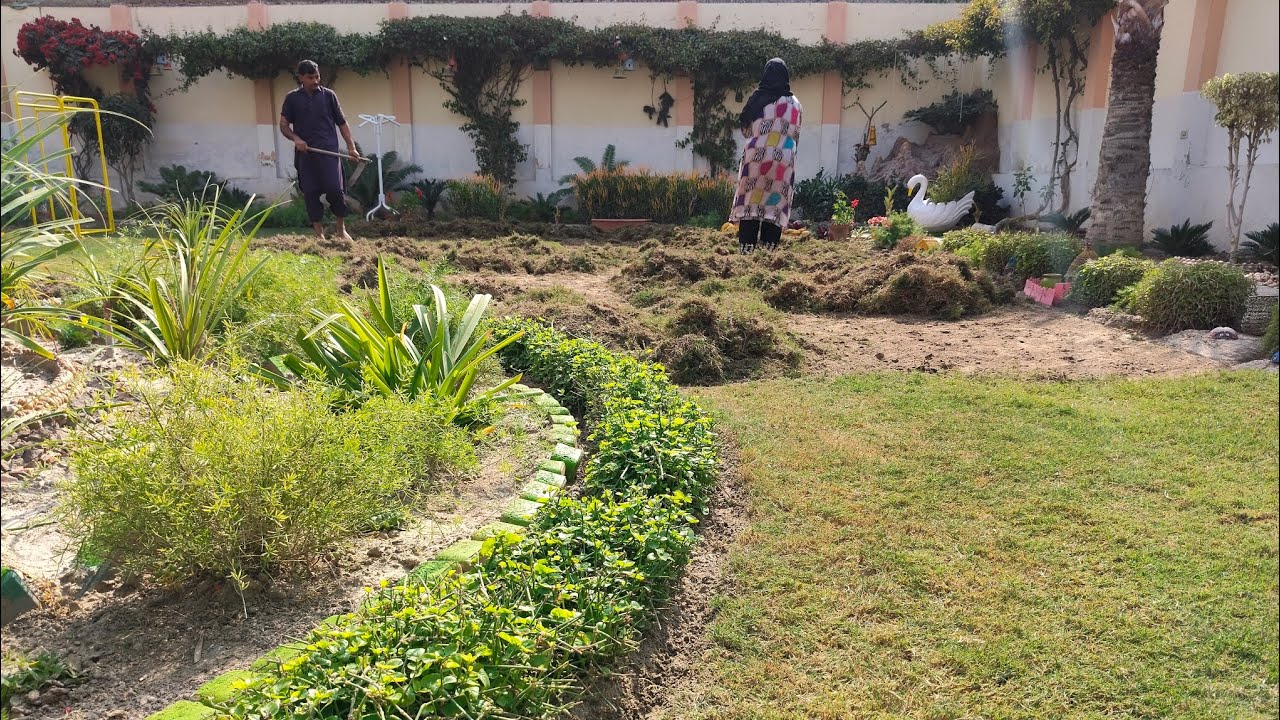 My all helpers and gardener work hard in my garden 🏡 Masha l Allah 