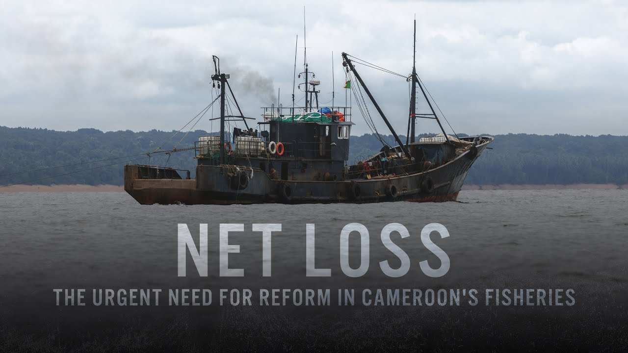 Net loss: the urgent need for reform in Cameroon's fisheries – an EJF film