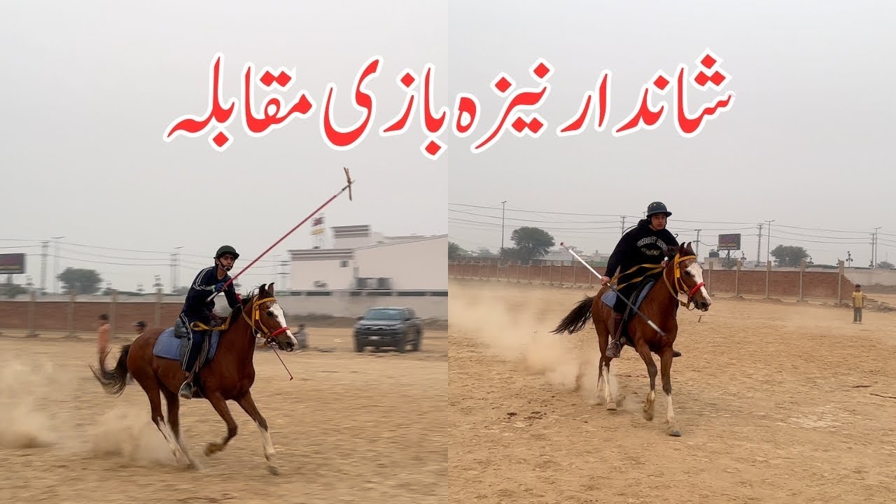 Shandaar Neza Bazi Muqabla 🏇 | Momin Kharal vs M Ahmed