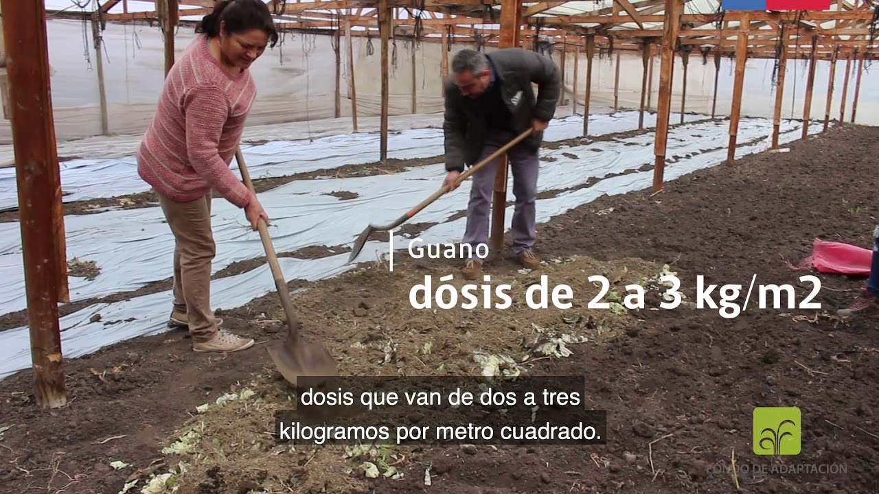Biofumigación