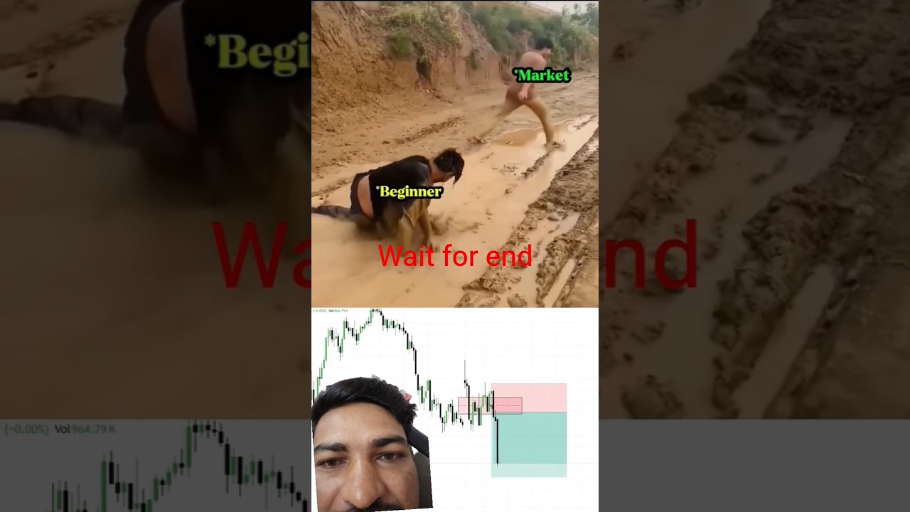 pro traders vs beginners traders 