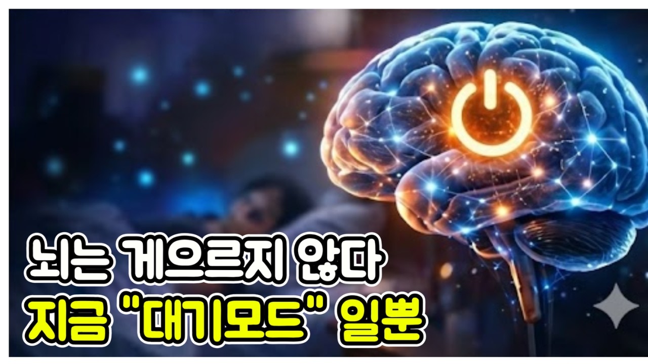 아무것도 안 하기 시작한 순간, 뇌는 이미 일을 하고 있었습니다