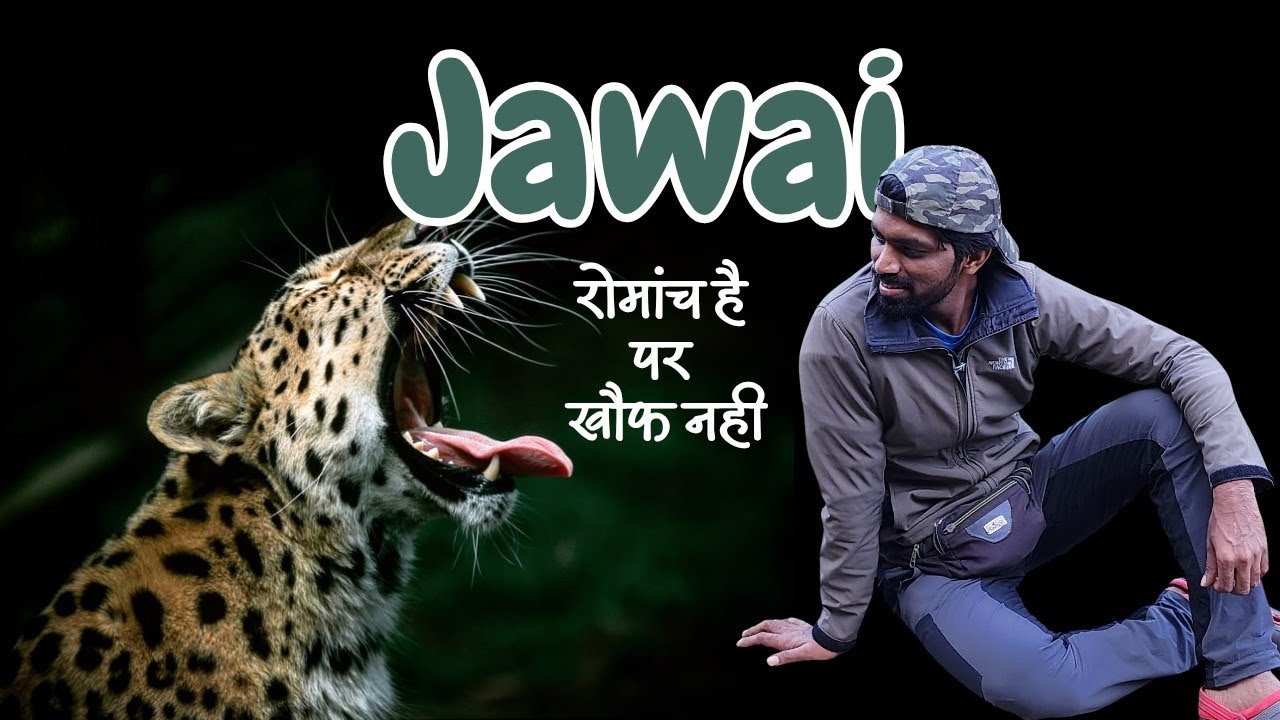 Jawai | Leopard Village Ek Perfect Destination | Hidden Gem Of Rajasthan 
