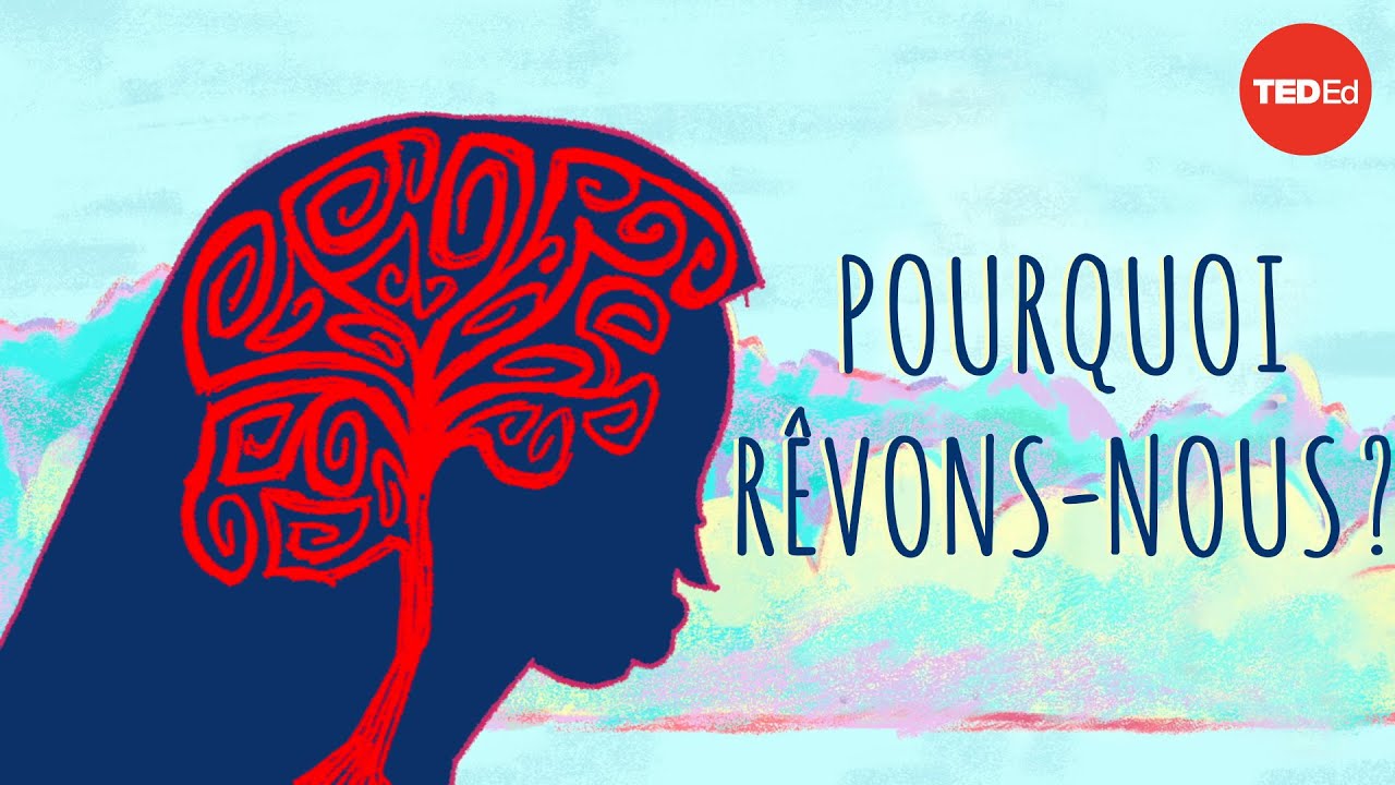 Pourquoi r&ecirc;vons-nous? - Amy Adkins