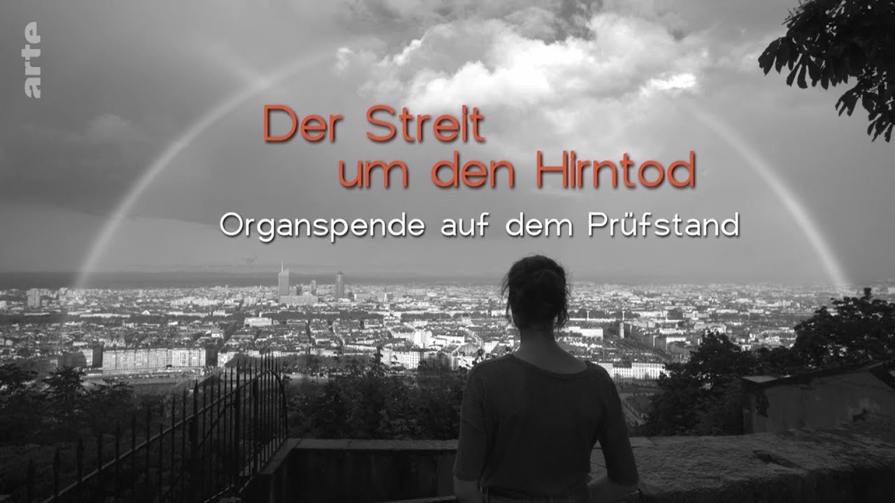 Der Streit um den Hirntod   ARTE