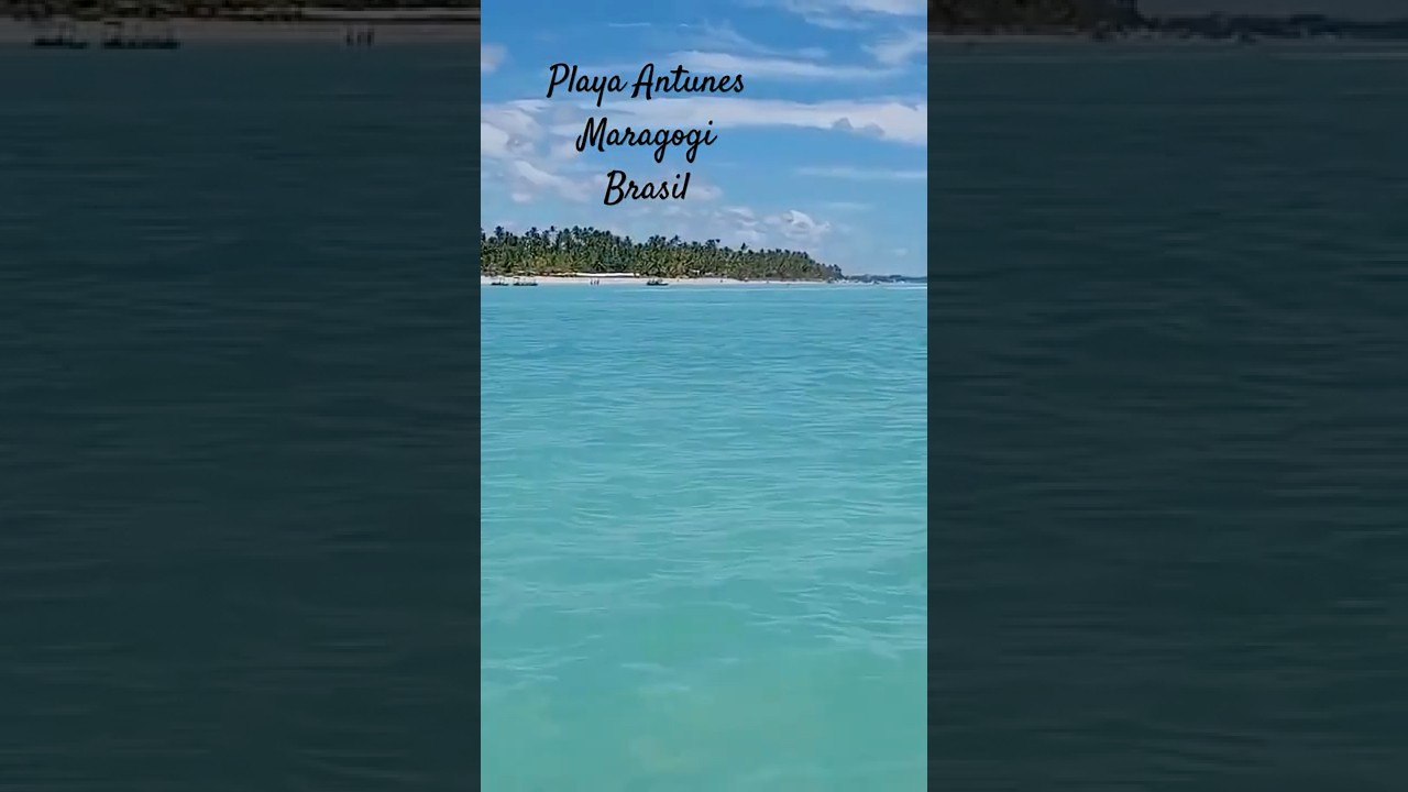 Playa Antunes, Maragogi, Brasil #playa #viajes #vacaciones #viajar #brasil