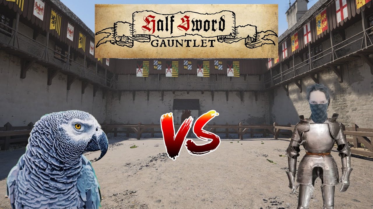 Half Sword - Gauntlet Competition feat. @ModesenYT