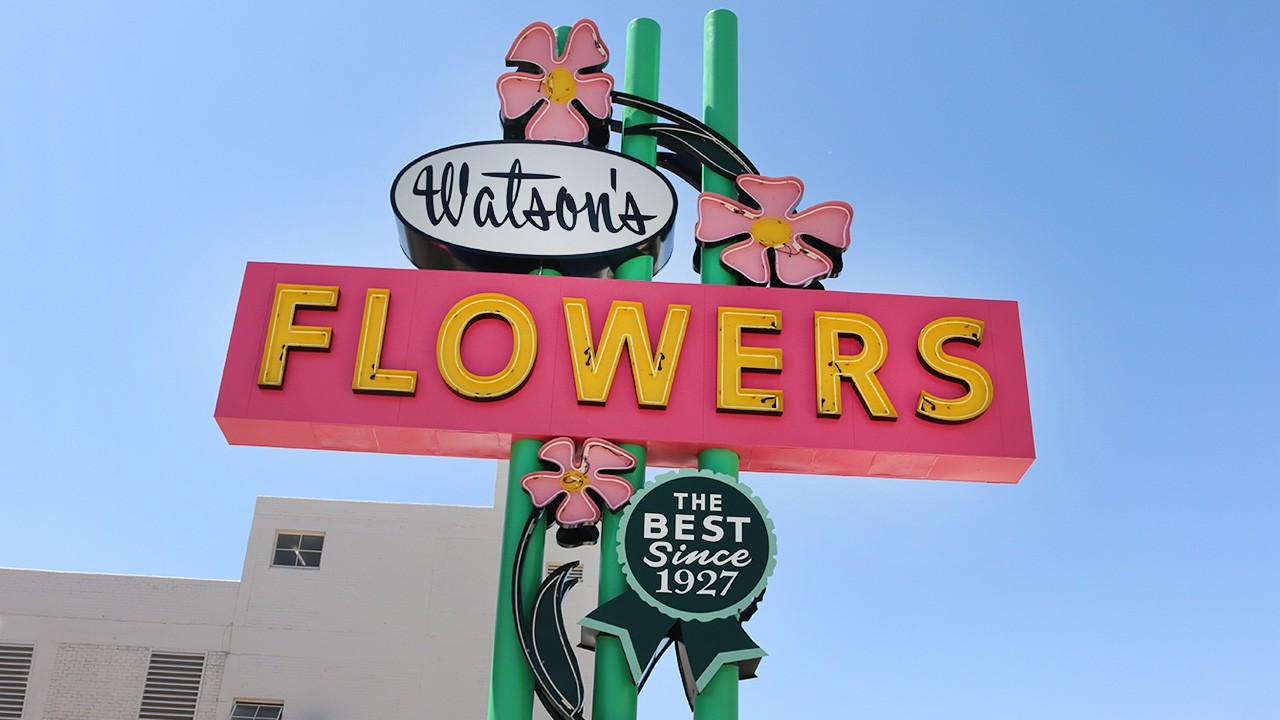 Neon Garden Installation