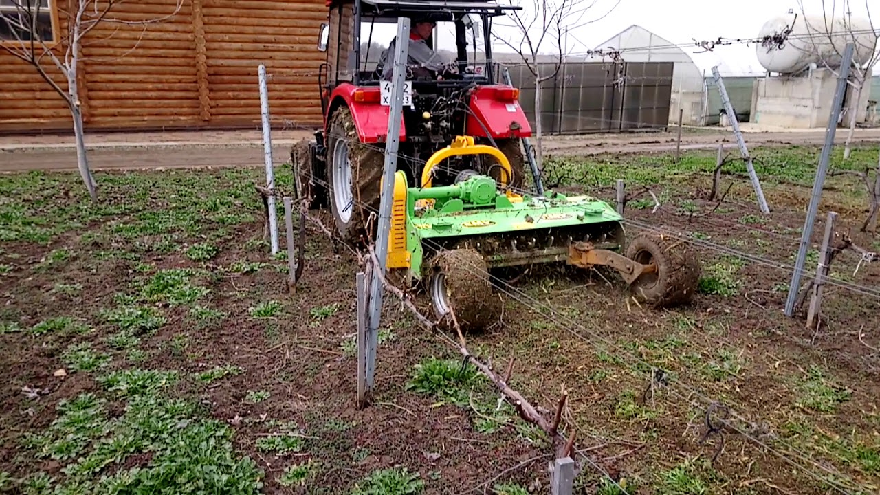 Измельчение виноградной лозы