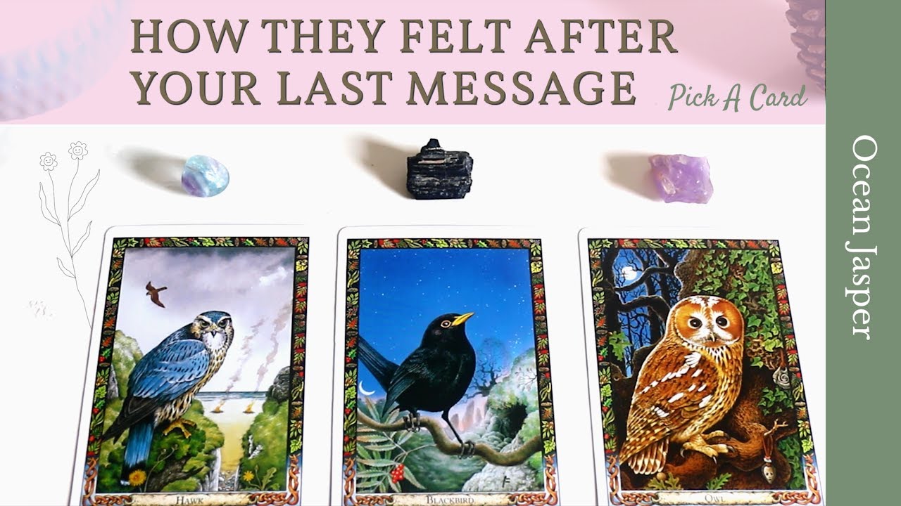 HOW DO THEY FEEL ABOUT YOUR LAST MESSAGE TO THEM 🌿 Pick A Card Timeless Tarot Reading 💜
