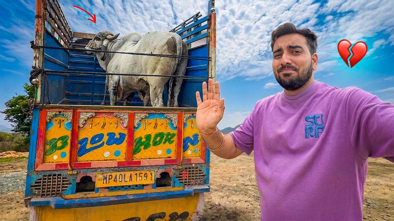 Anand Bull Chala Gaya💔😭Last Goodbye 