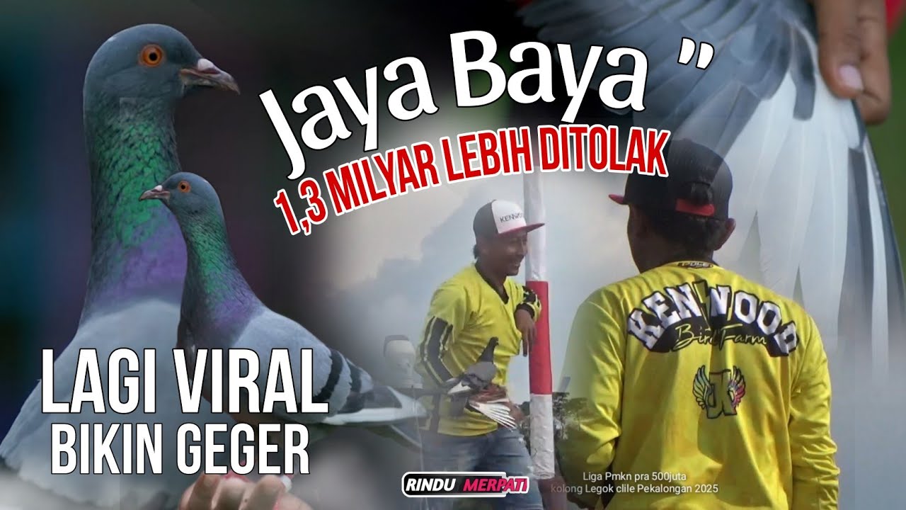 Bikin Geger 1,3 Milyar Ditolak‼️Inilah Aksi Jos Jaya Baya