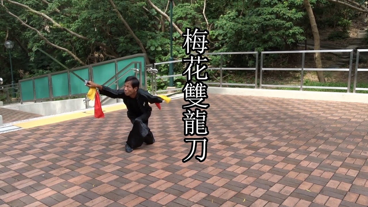梅花雙龍刀 - 嶺南洪拳虎鶴派 - Double Blades Hung Kuen