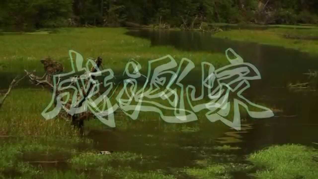 成功返仙家(調寄_心肝寶貝)_陳素娥_吉祥版