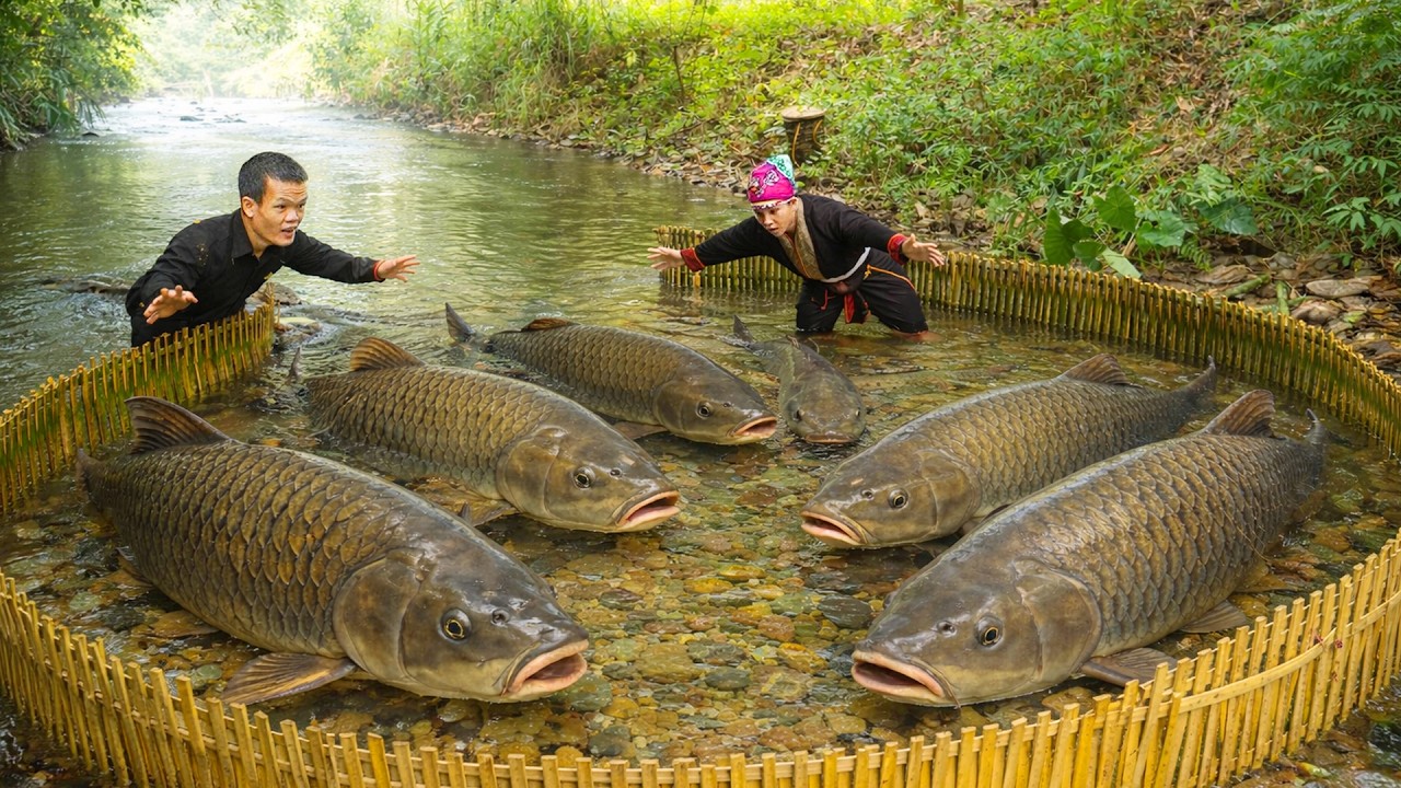 Dwarf Family Survival: Building a Primitive Fish Trap for 48 Hours Stream Fishing