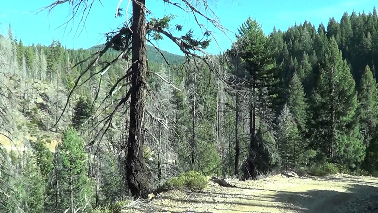 PLUMAS NATIONAL FOREST DRIVE TO HOWLAND FLAT.