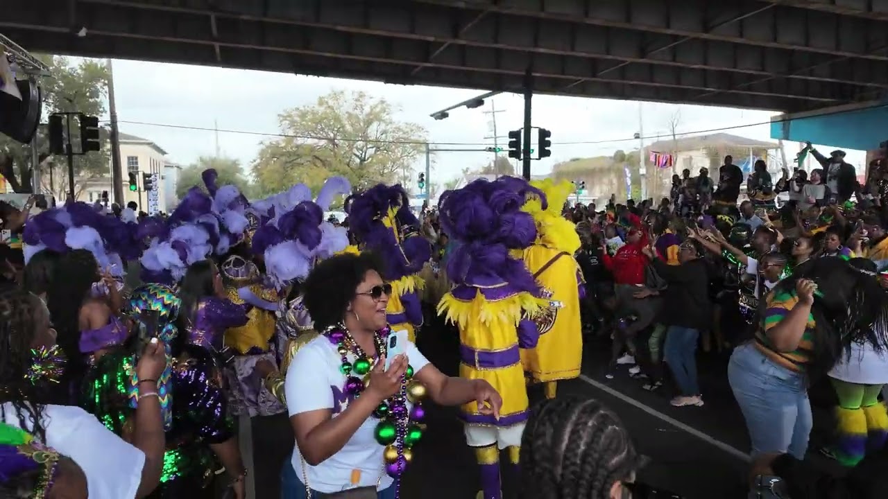 Zulu Second line Mardi Gras under the bridge 2025