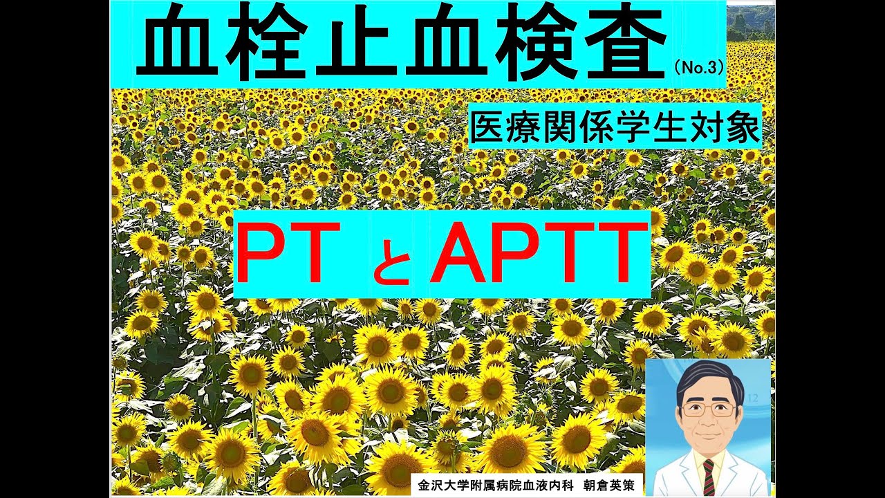 【血栓止血検査3】PT、APTT