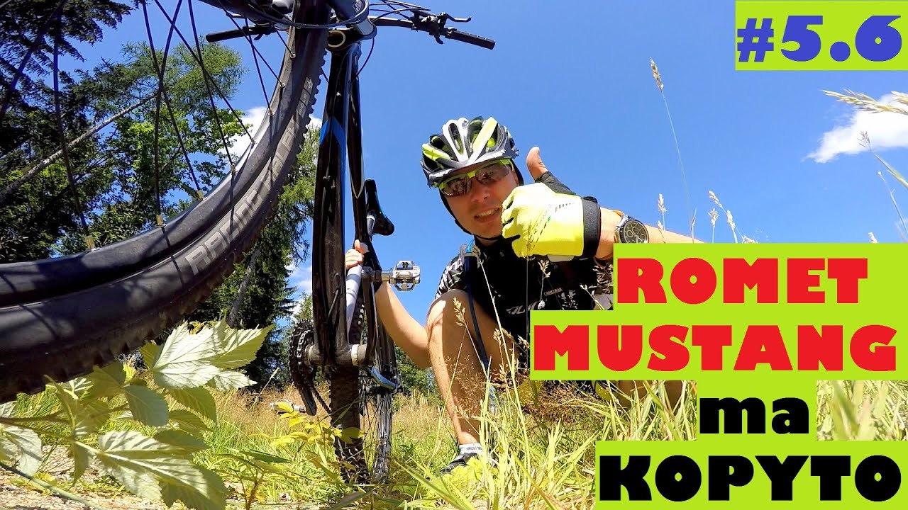 TEST / RECENZJA - Romet Mustang R-line 29 1.0. Polski 29er na Singletrackach w Świeradowie.