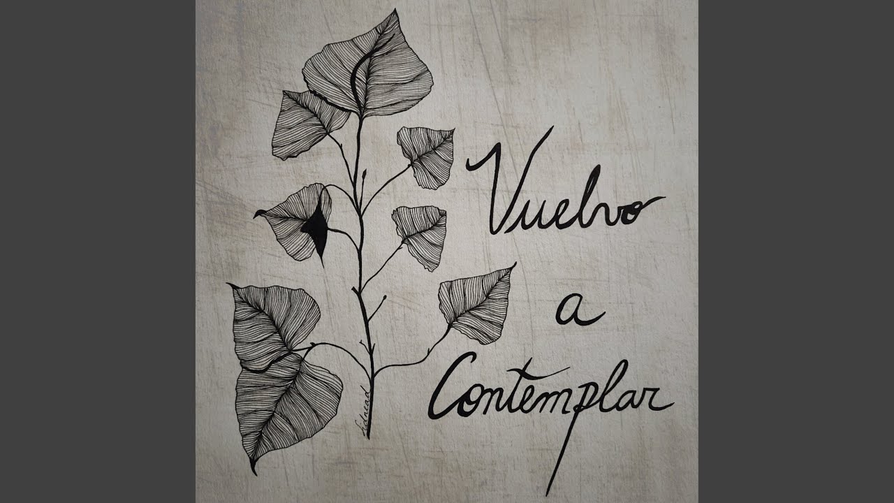 Vuelvo a Contemplar