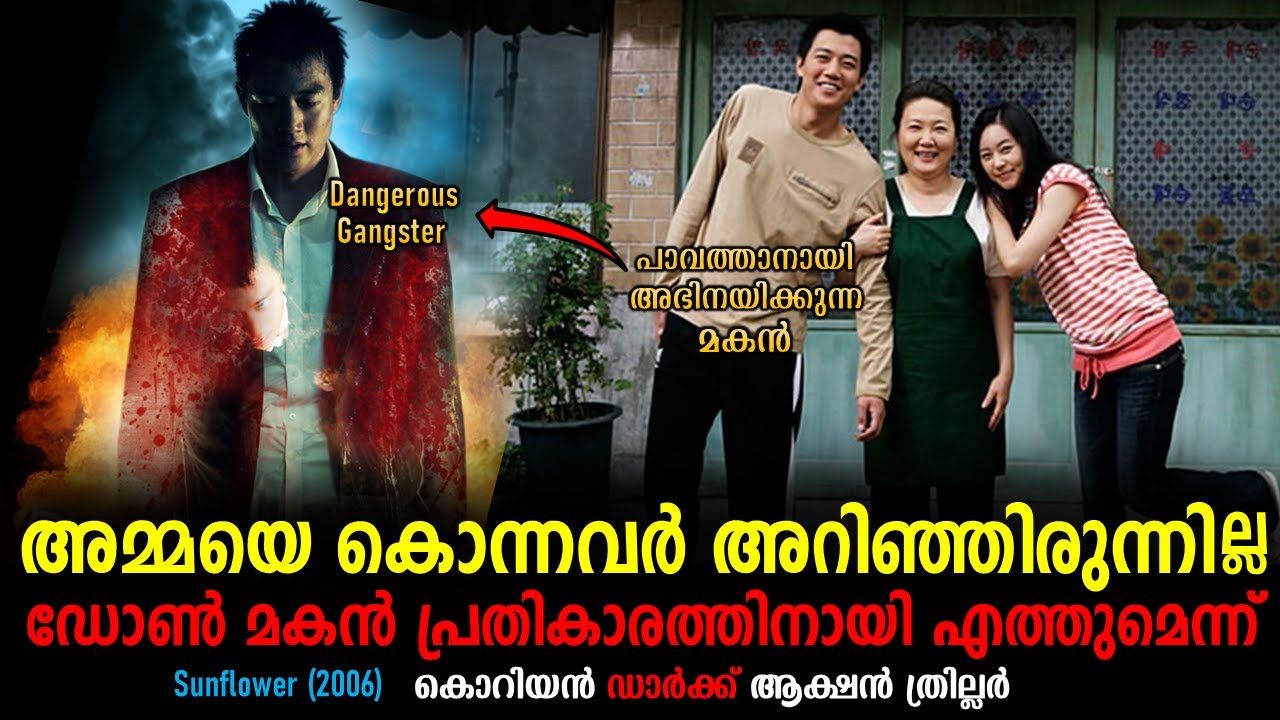 Sunflower 2006 Explained In Malayalam | Korean Movie Malayalam explained | Cinema katha
