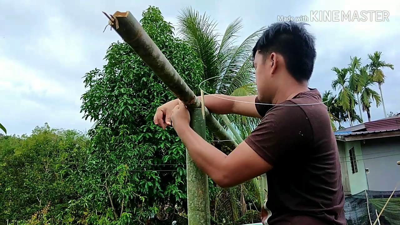 Pembinaan green house menggunakan bambu / buluh