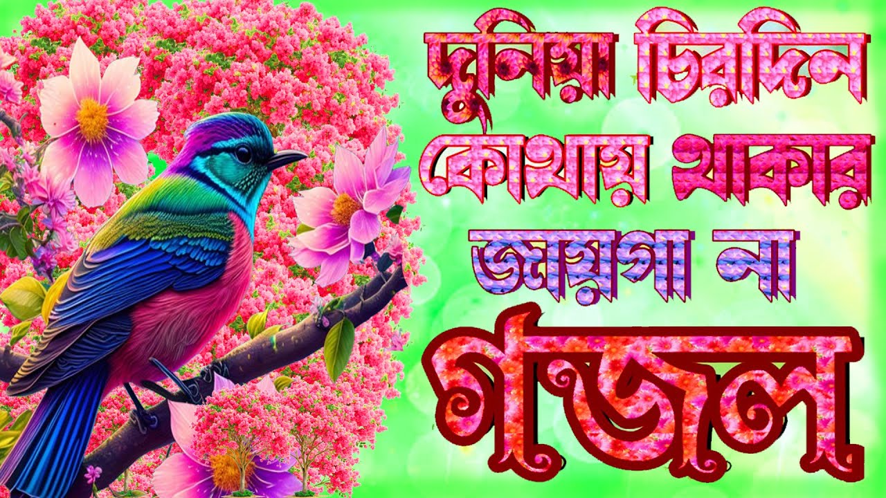 হবে যেদিন সমাদিন |খুবই দুঃখের গজল |মন প্রান উজার করা গজল |Heart Touching Gojol |Islamic Bangla Gajal