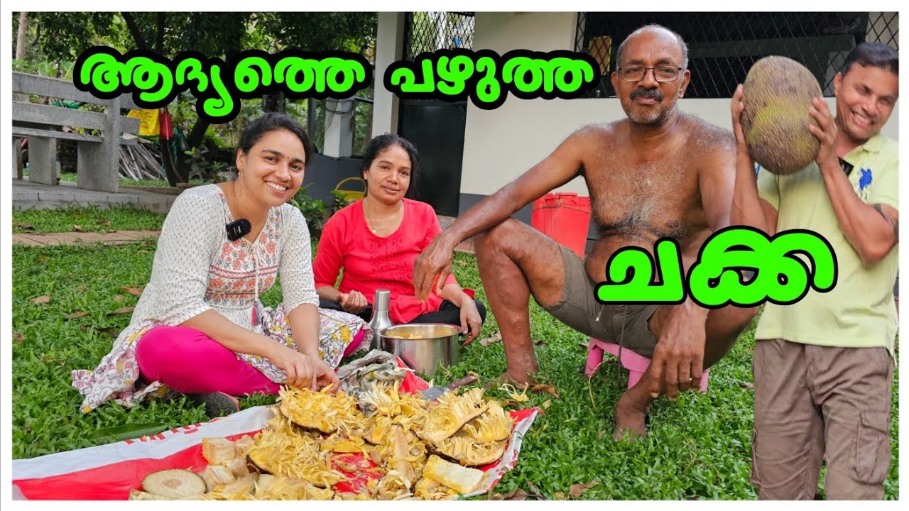 ഇക്കൊല്ലത്തെ പഴുത്ത ചക്ക... 😋😋😋/Jack fruit/Chakkakuru vada recipe/Snacks/Family vlog /Entertainment