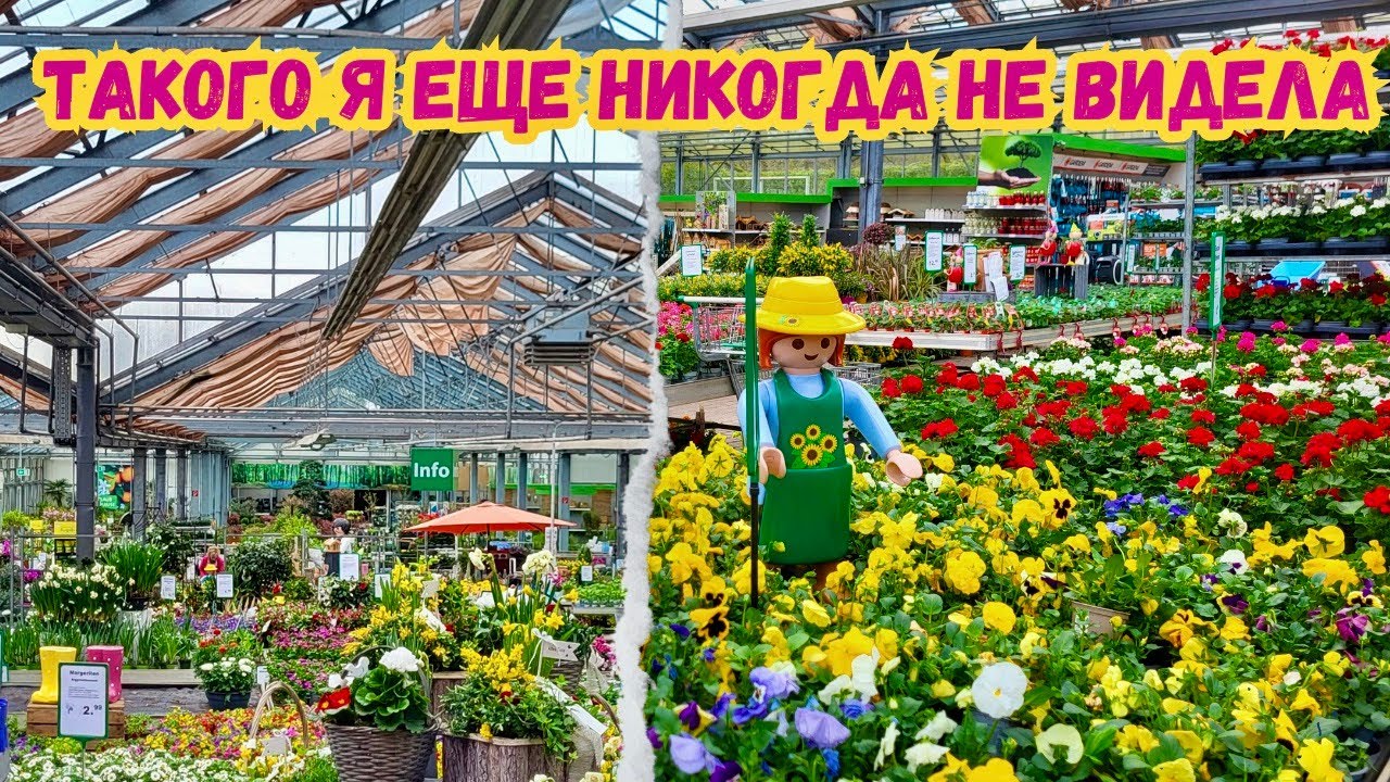 Как же меня восхитил этот садовый центр Augsburg Schwerte...огромный выбор для сада и огорода