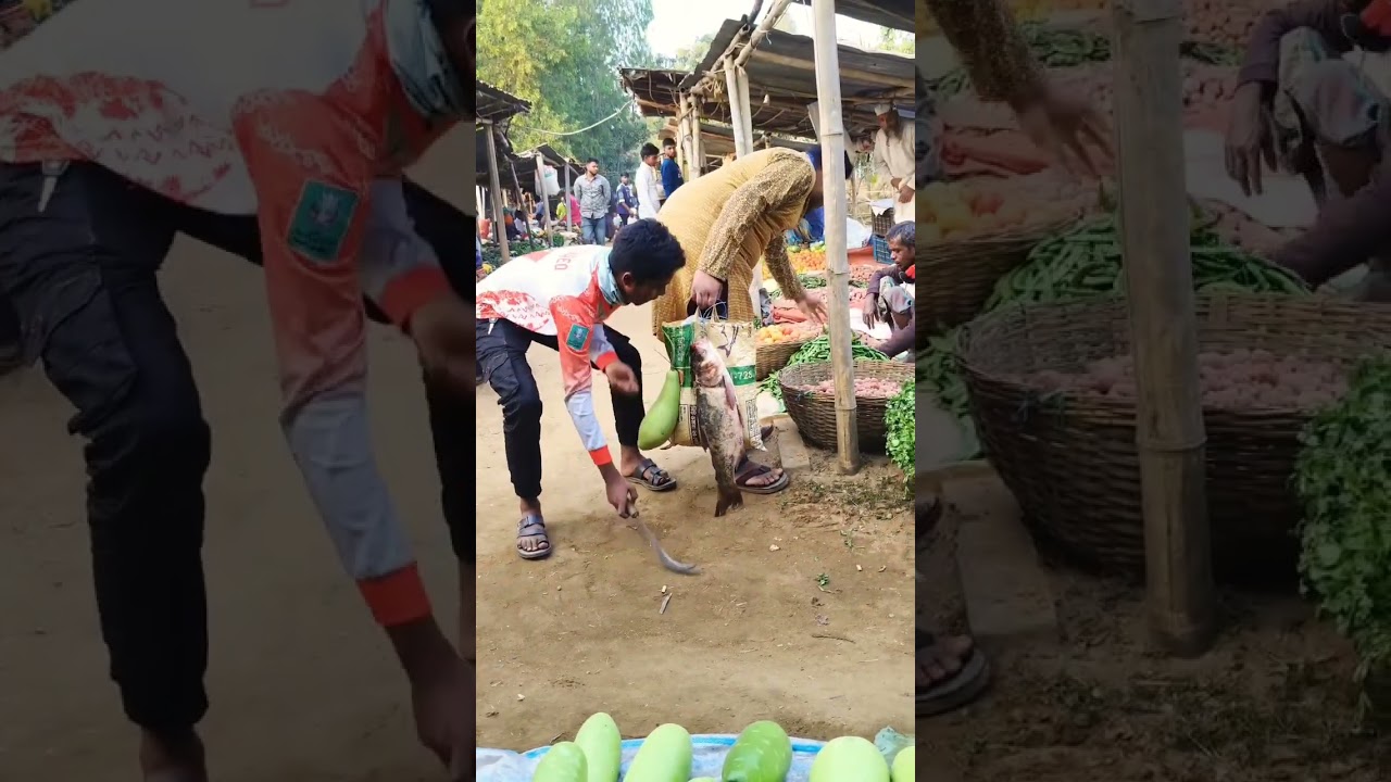 The best funny videos all together😃🙆‍♂️#india  #bangla #dubai #brazil #bangladesh #funny #shorts 