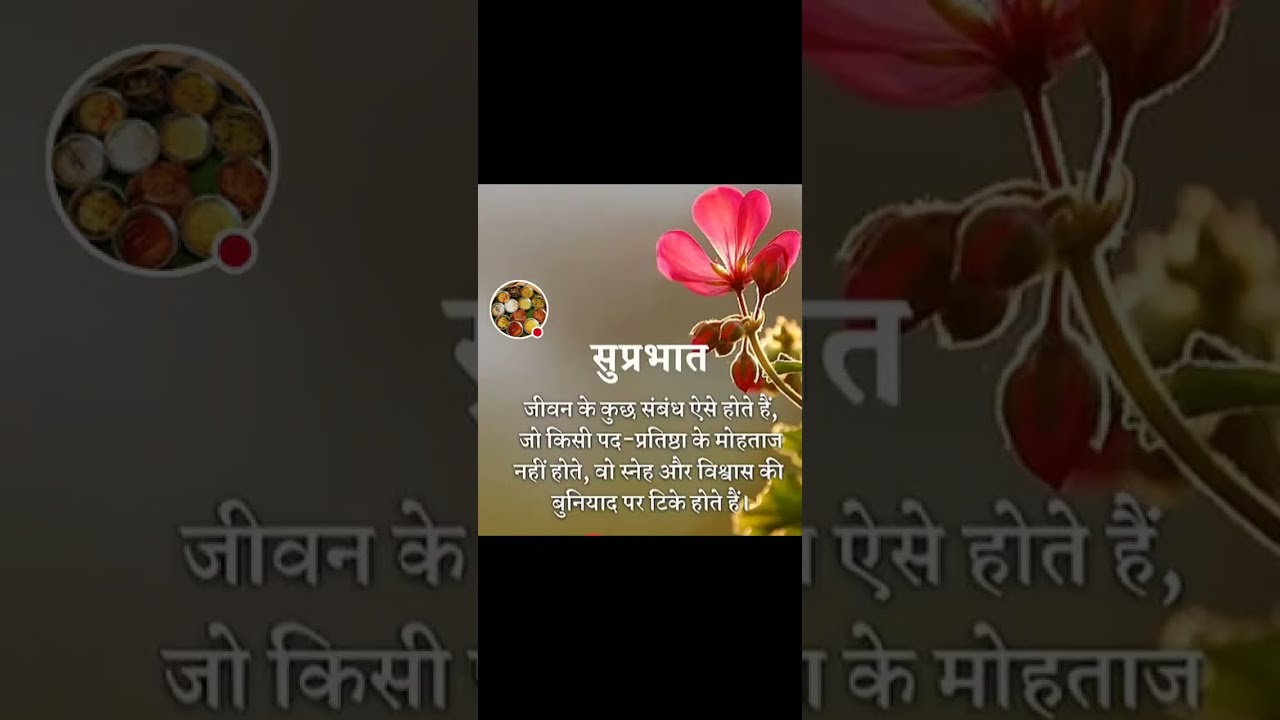 Good morning friends, Havena blissful day. Let's connect everyone. 🙏live  verticallive.