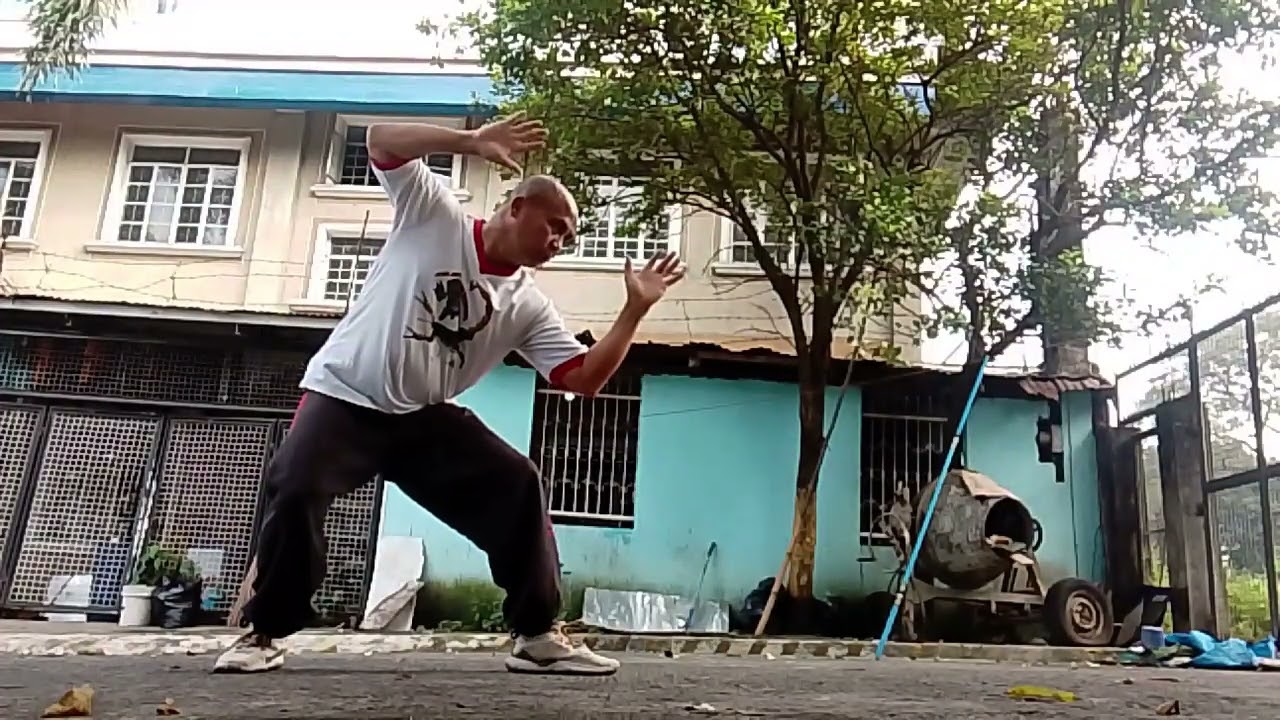 Mongoose style combination 