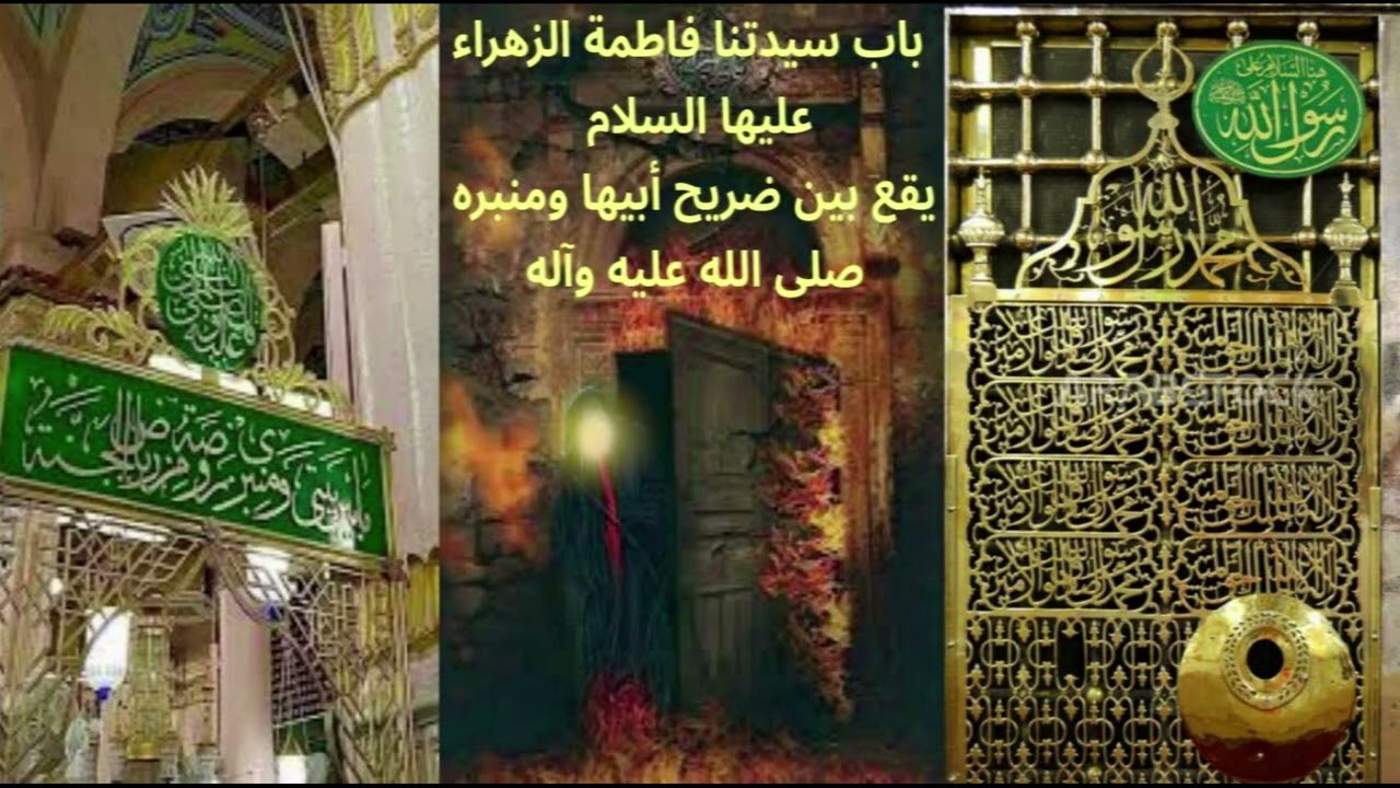 لولا سقوط جنين فاطمة🌸اللهم العن قتلة فاطمة الزهراء وقتلة آلها عليهم السلام 19