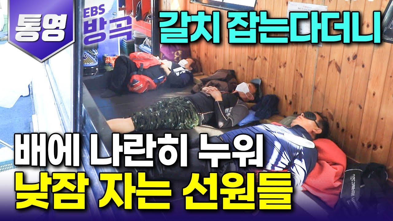 [경남 통영] 갈치 잡으러 나간 어부들이 배 타자마자 잠부터 자고 보는 이유?｜낚싯줄 하나에 8마리씩 줄지어 올라오는 대물 은갈치｜#한국기행 #방방곡곡