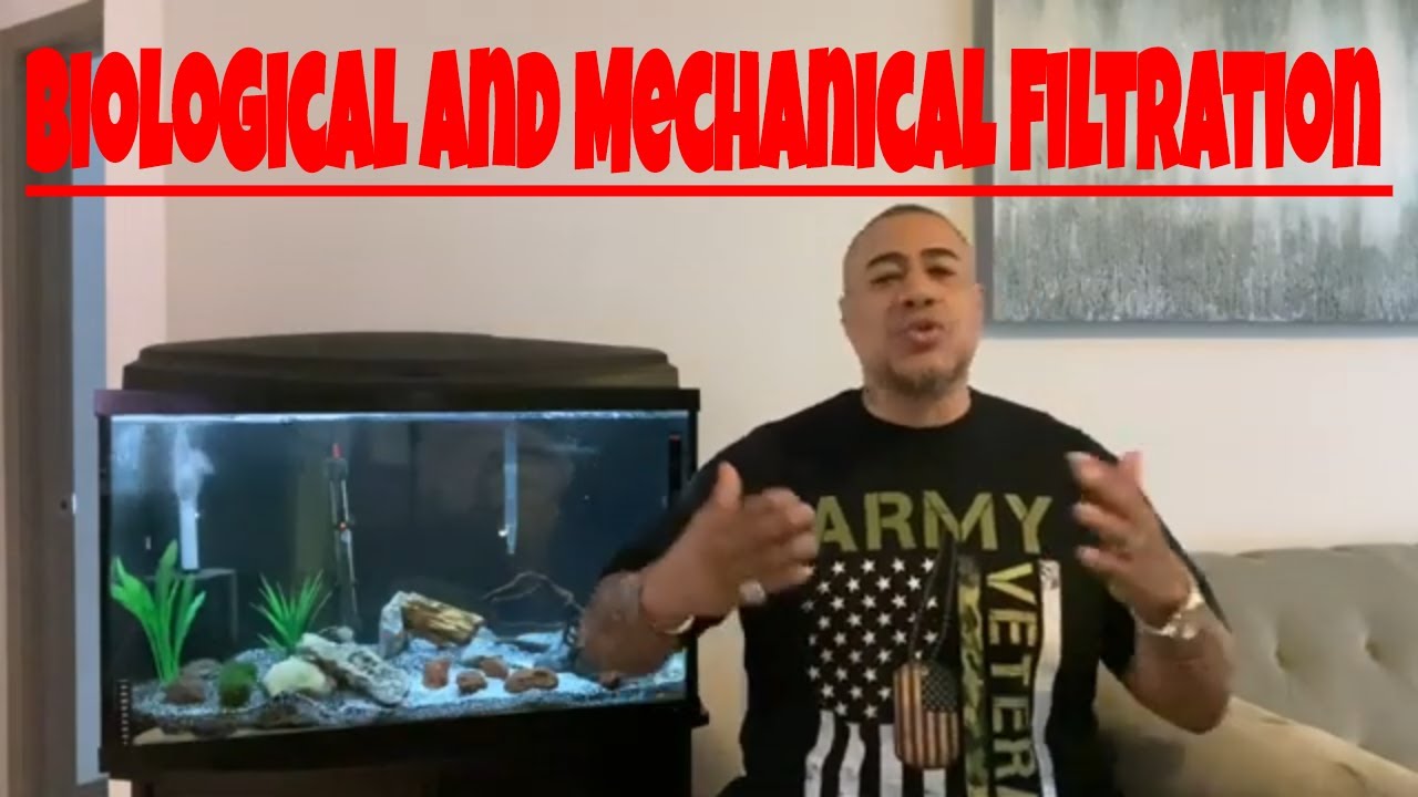What is Biological and Mechanical Filtration? #filtration