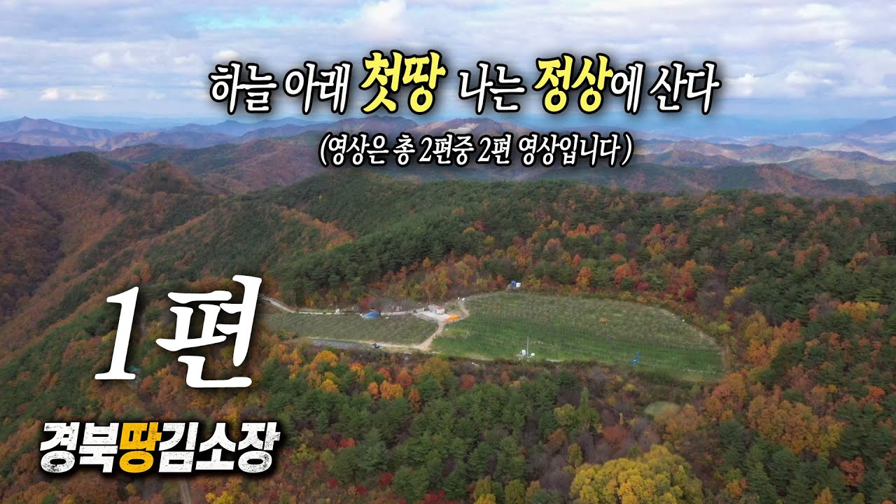 ★경북땅김소장★[매번814번]  #자연인땅#하늘아래 첫땅