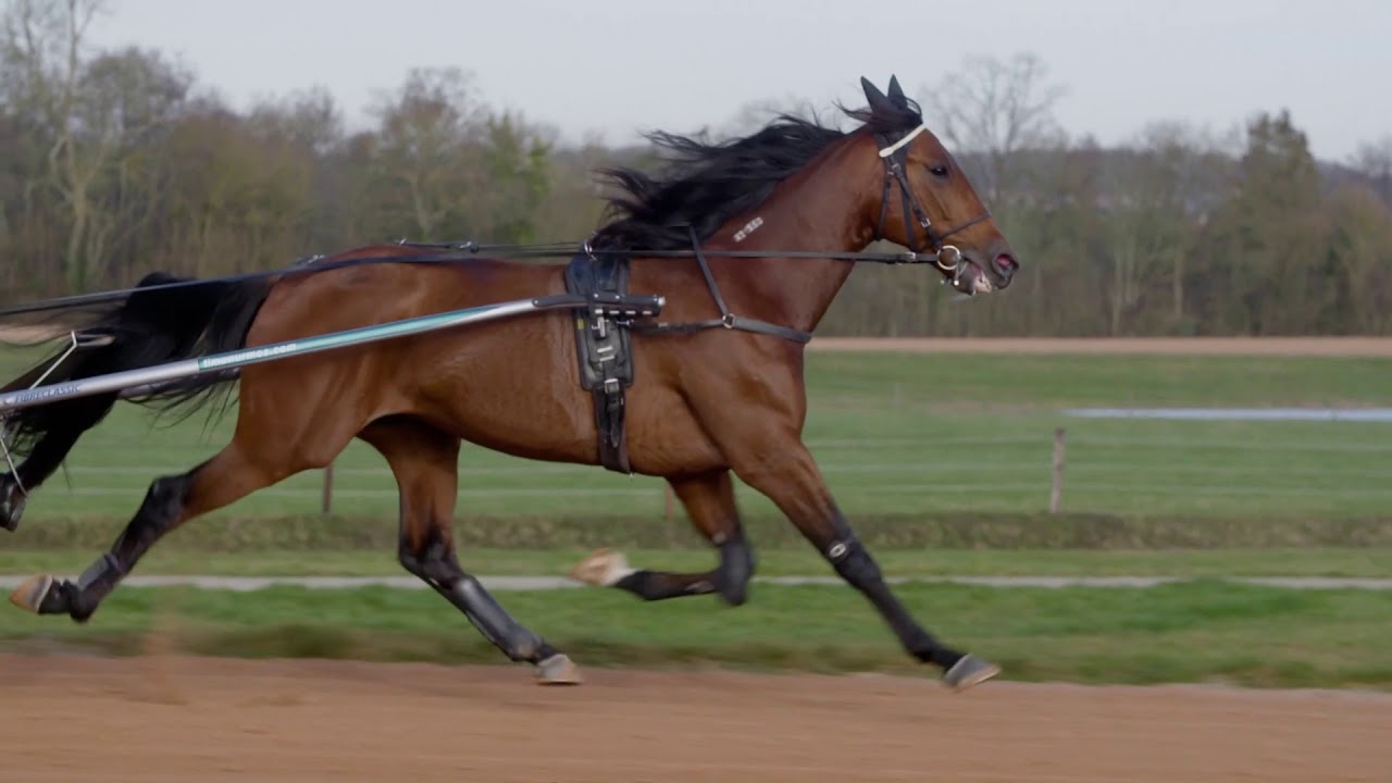 Readly Express, Timo Nurmos before Pd'A 2019