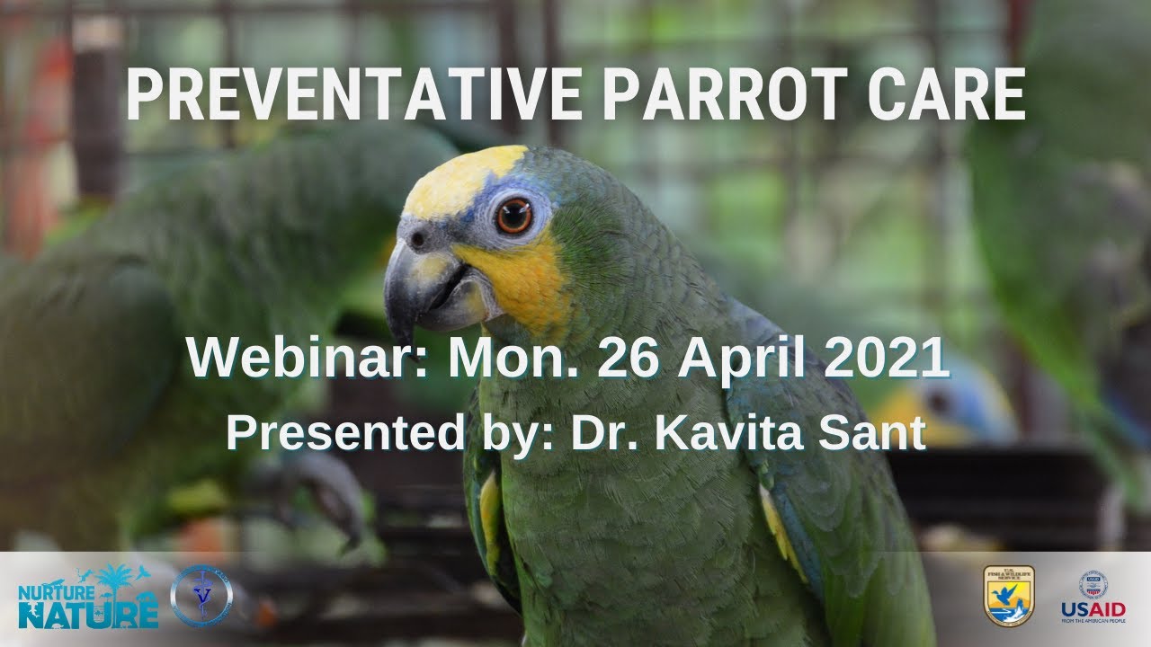 Preventative Parrot Care