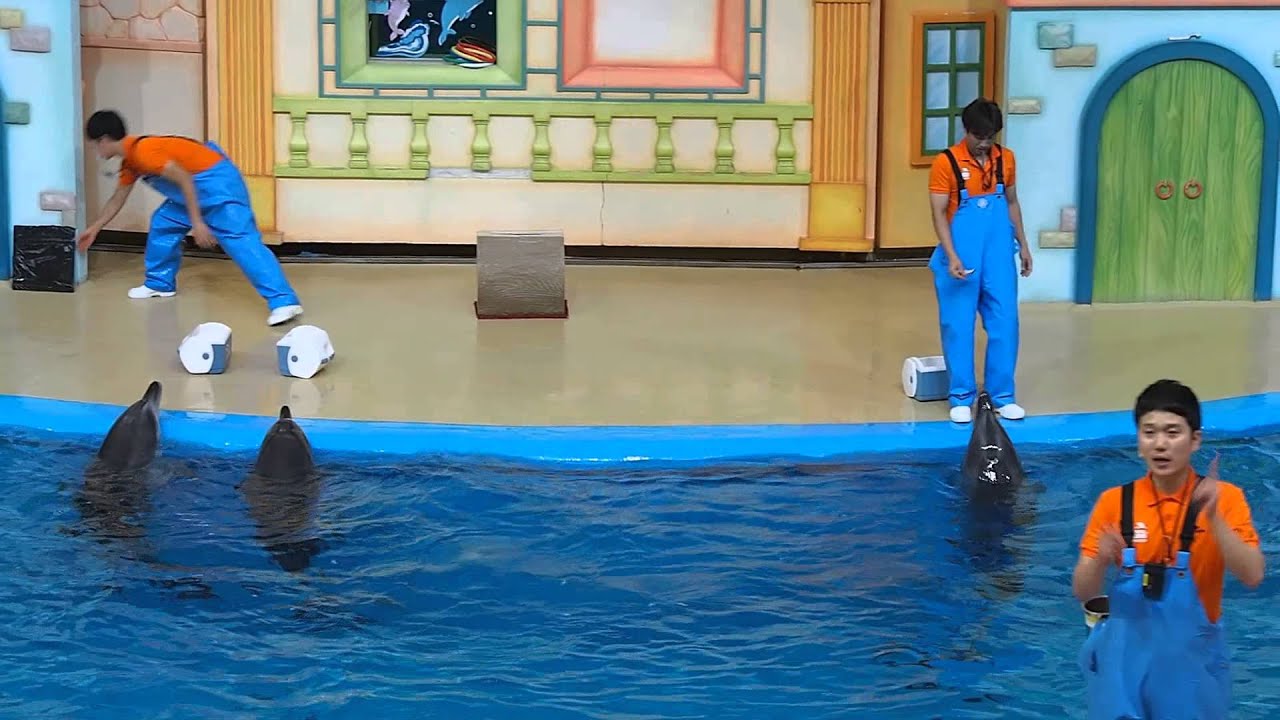 서울대공원 동물원 - 돌고래 생태설명회 (Dolphin Ecologic Explanation)