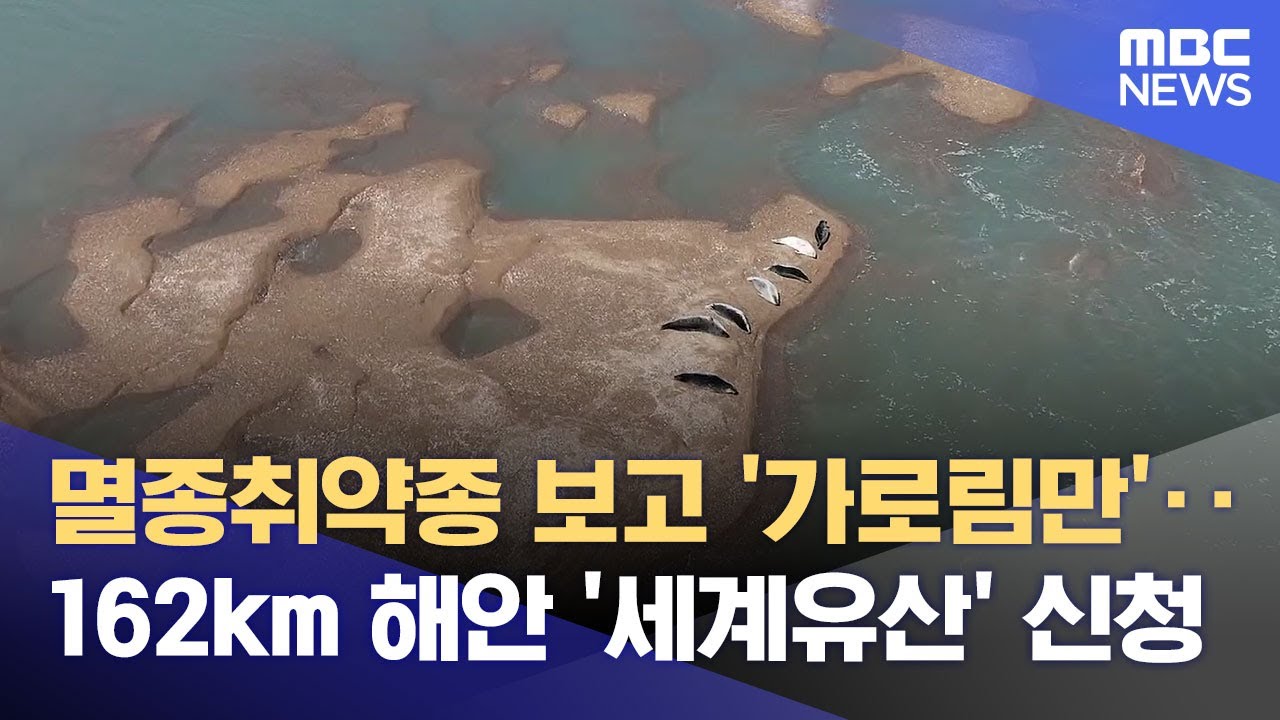 '해안선 162km'...가로림만 '세계유산' 추진 (2025.02.16/뉴스데스크/대전MBC)