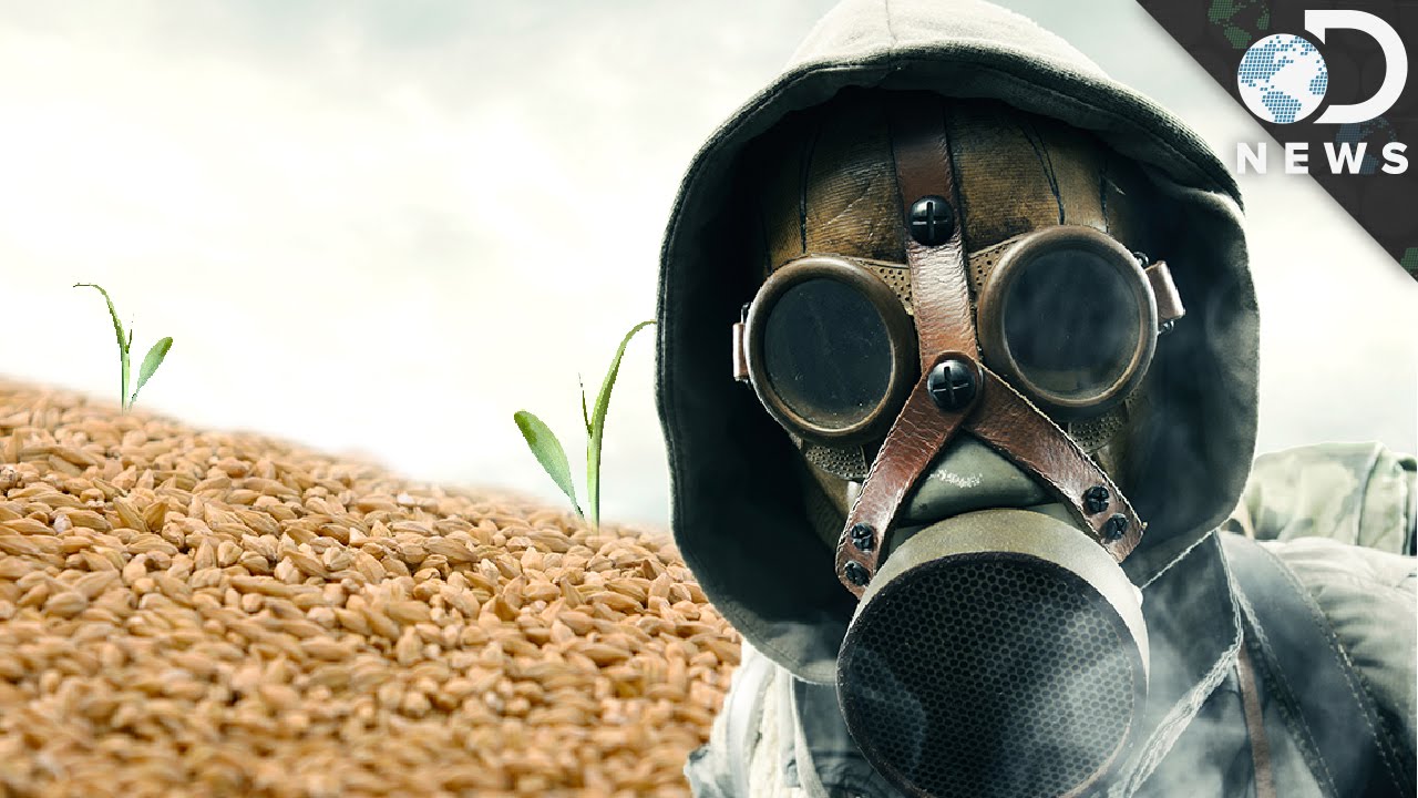 Why Humanity Needs This Doomsday Seed Vault